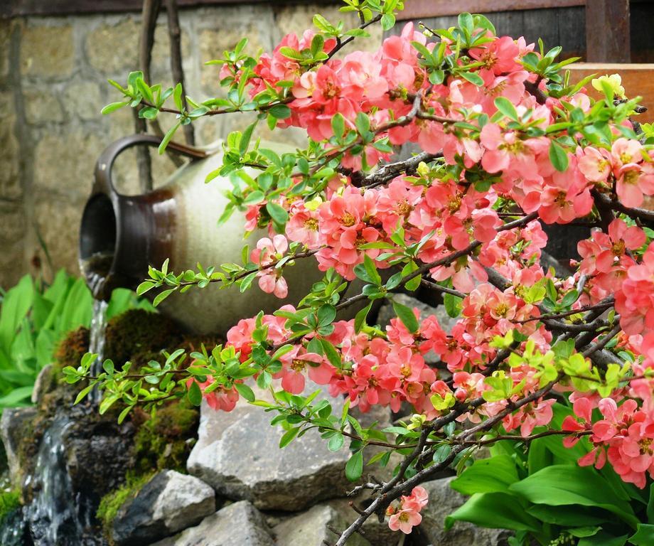 Angela Vendeghaz Hotel โทไก ภายนอก รูปภาพ
